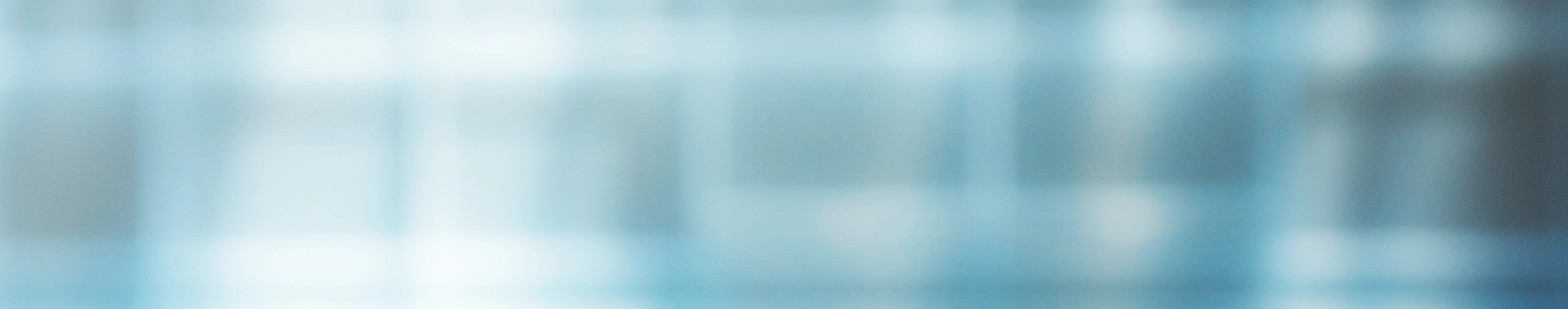 BAUMANN Sustainability Report 2024 Has Been Awarded the “Excellence” Distinction BAUMANN Sustainability Report 2024 Has Been Awarded the “Excellence” Distinction