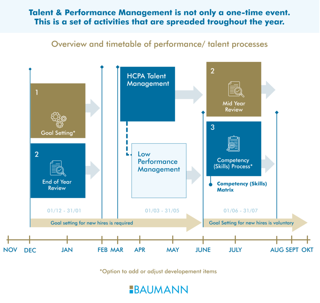 Enhancing Excellence: BAUMANN's Global Annual Talent & Performance Management Process 