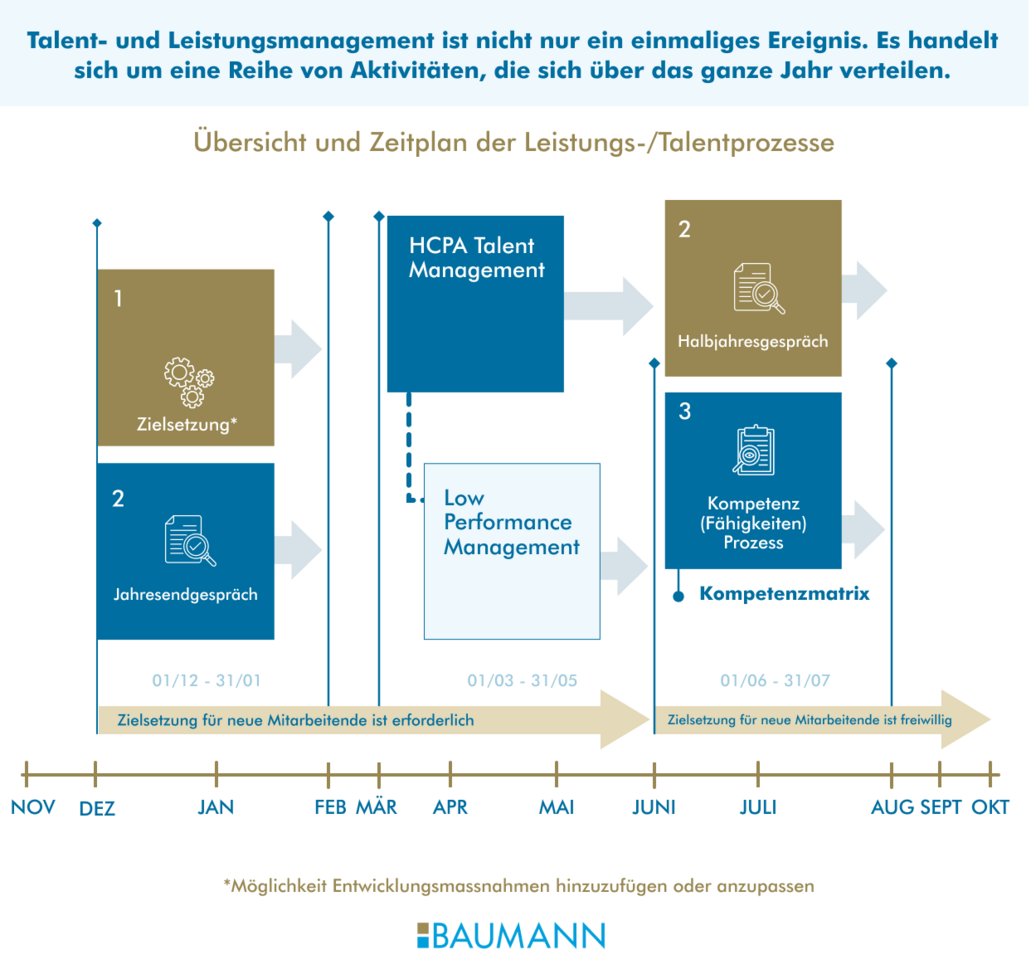 Streben nach Exzellenz: BAUMANNs globaler jährlicher Talent & Performance Management Prozess 